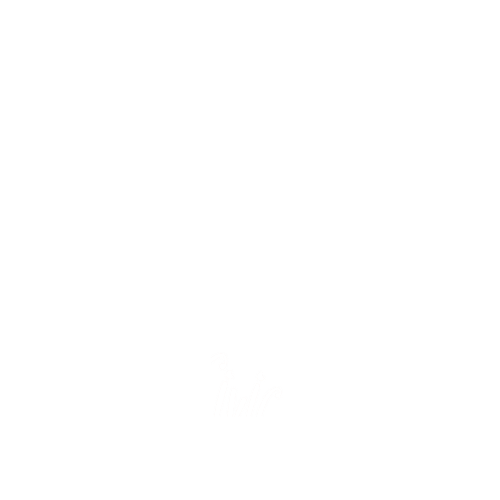 Young Artist Studio